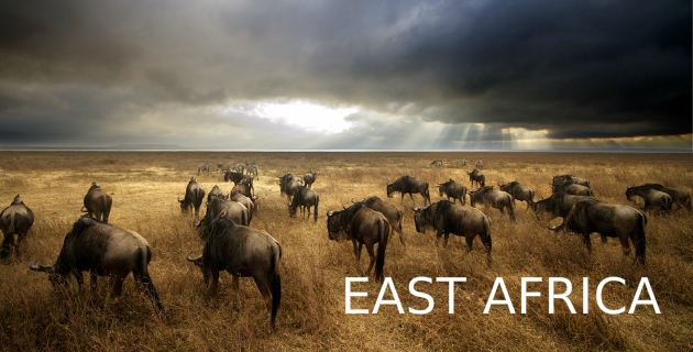 East Africa